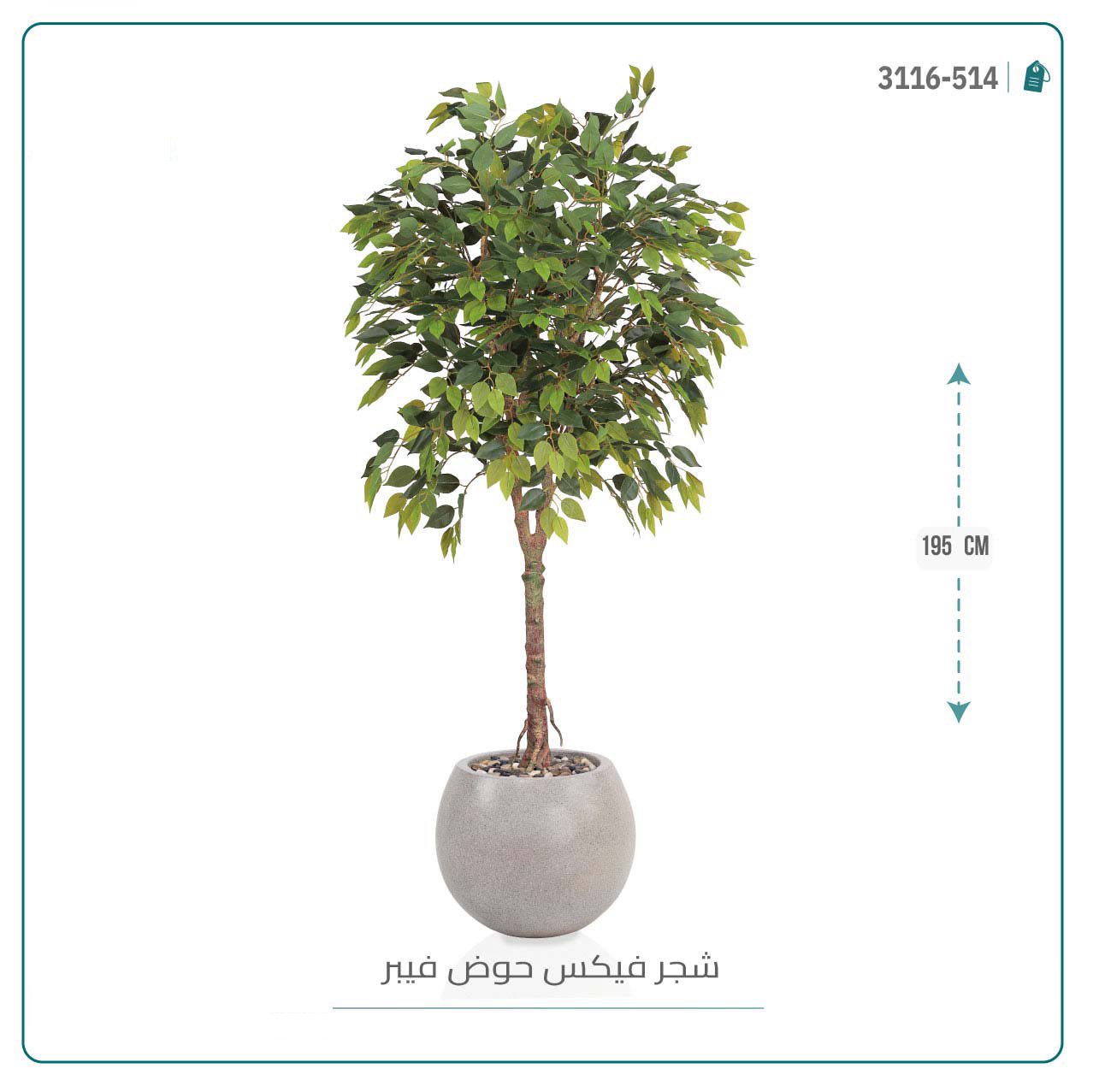 شجرة فيكس صناعية بحوض فيبر - Image 7