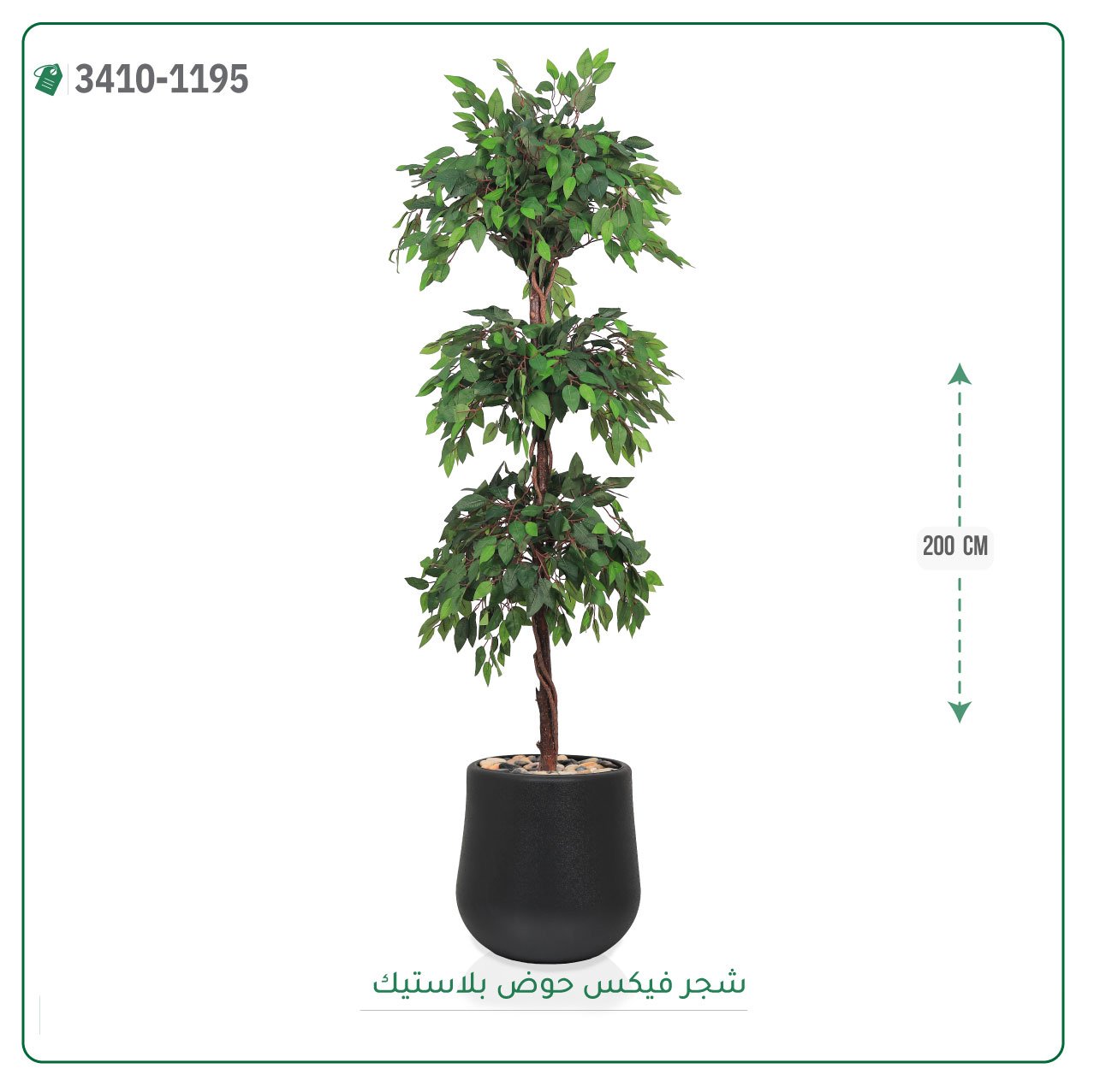 شجر فيكس صناعية حوض بلاستك { ارتفاع 200 سم } - صورة 2