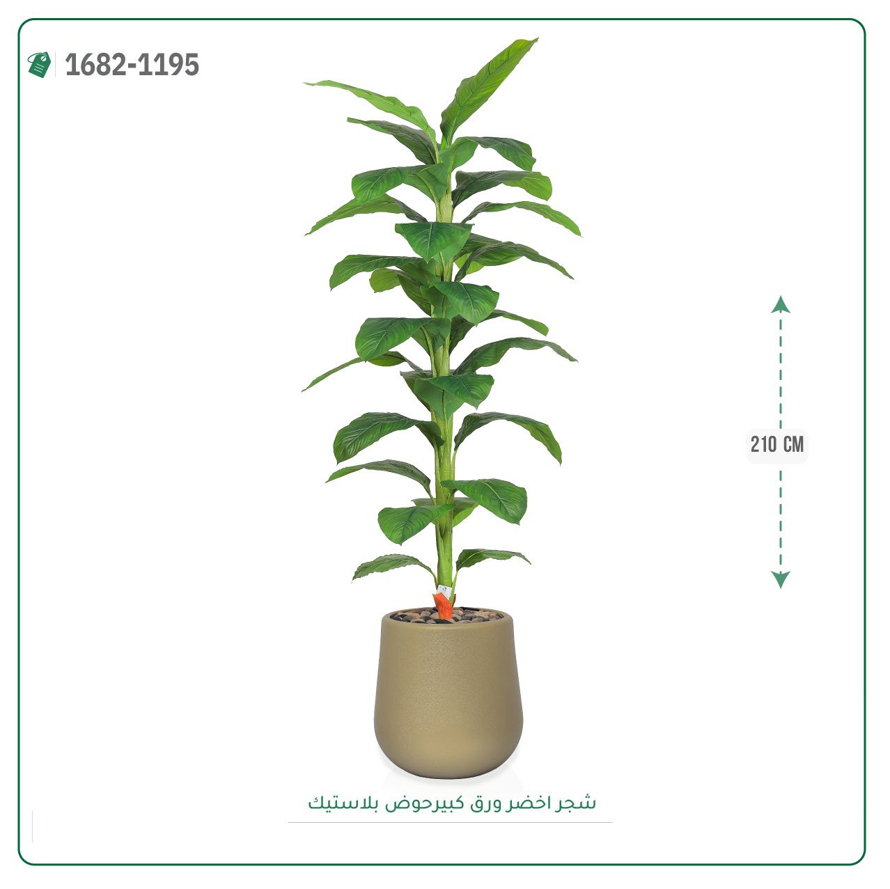 شجر أخضر صناعي حوض بلاستيك { ارتفاع 210 سم } - صورة 3