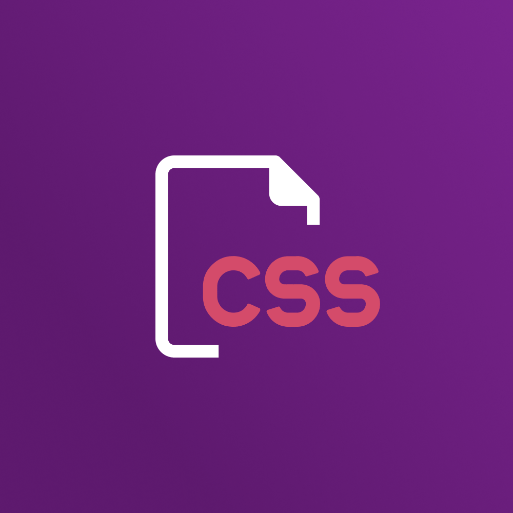 تخصيص CSS احترافي لمتجرك - صورة 1