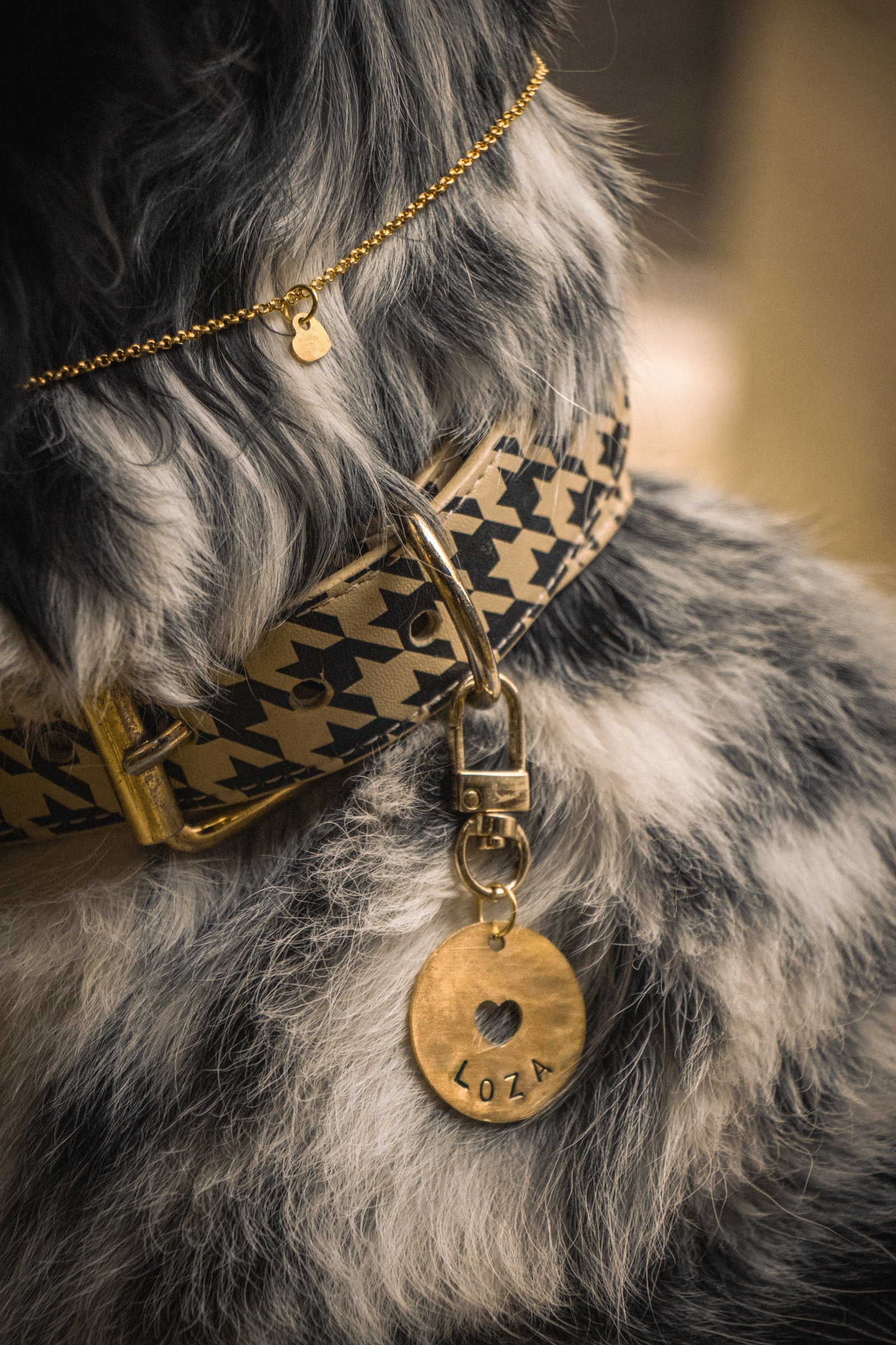 Love Bound Pet Tag & Charm - Image 2