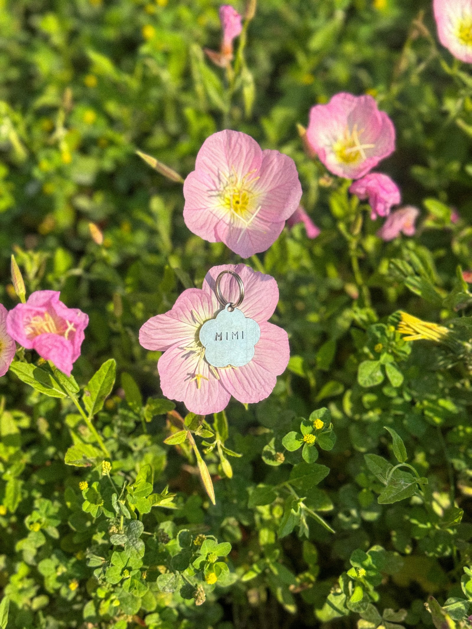 Spring Bloom Pet Tag  - Image 2