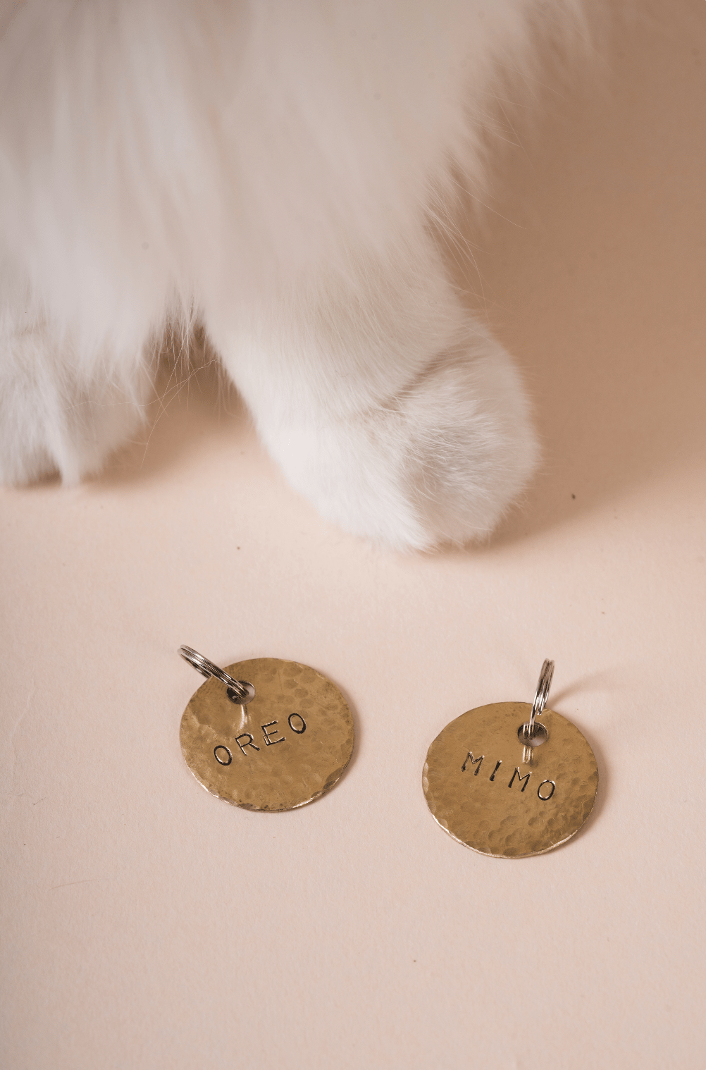 Brass Classic Pet Tag - Image 1
