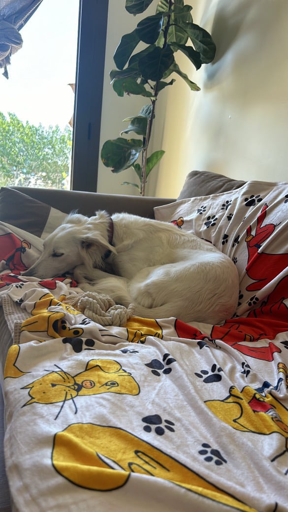 Cozy Blanket  - Image 10