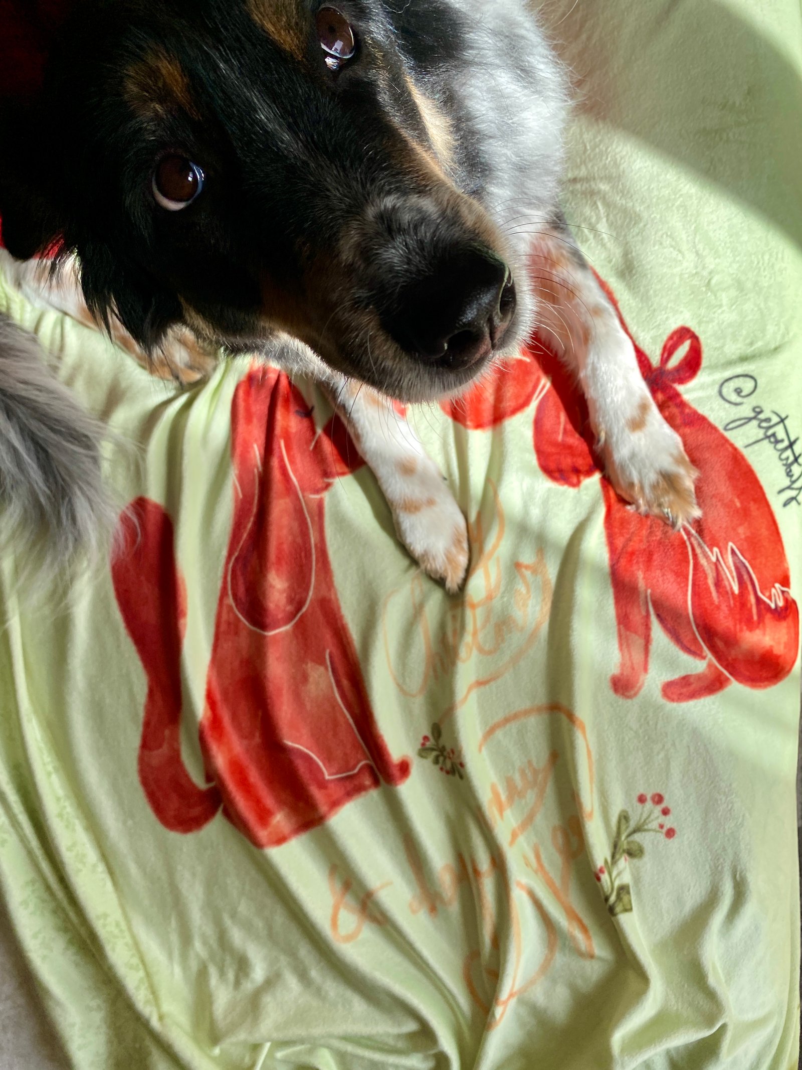 Cozy Christmas Blanket - Image 1