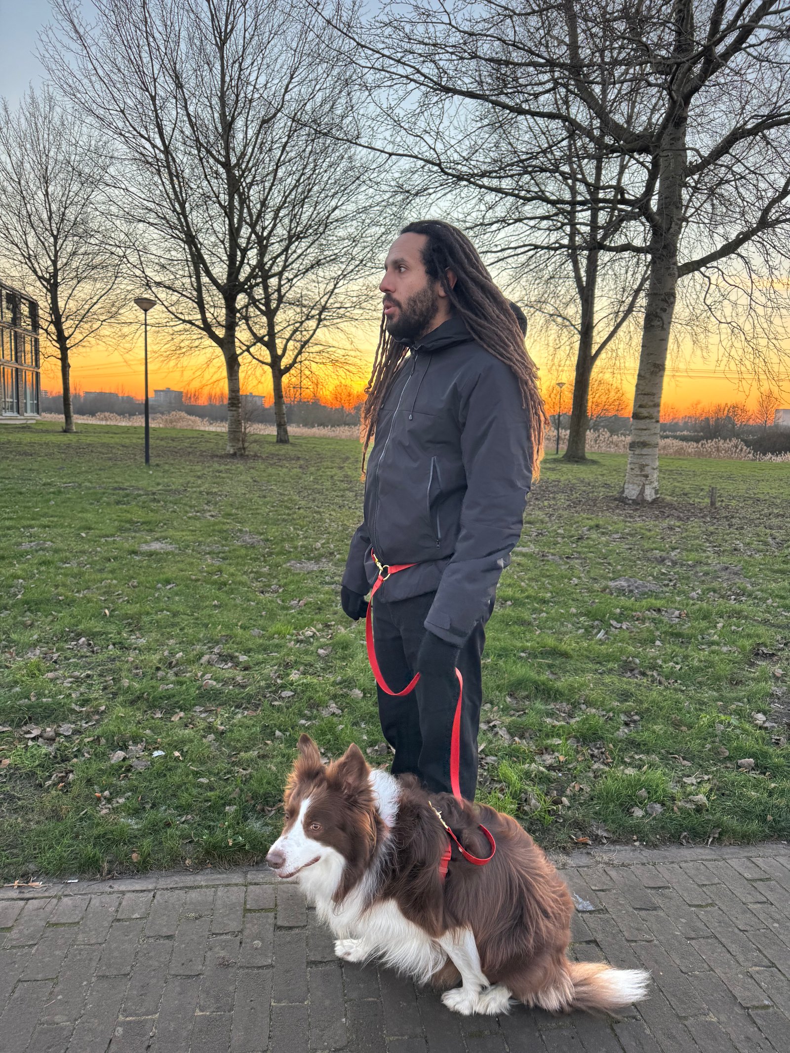 Essential Hands-free Leash - Image 5