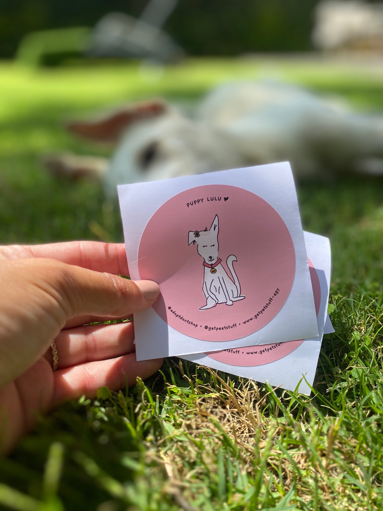 Puppy Lulu Sticker - Image 1