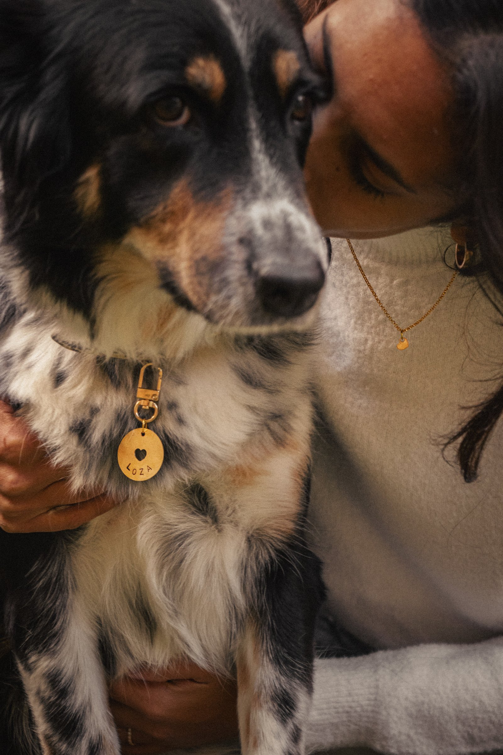 Love Bound Pet Tag & Charm - Image 3
