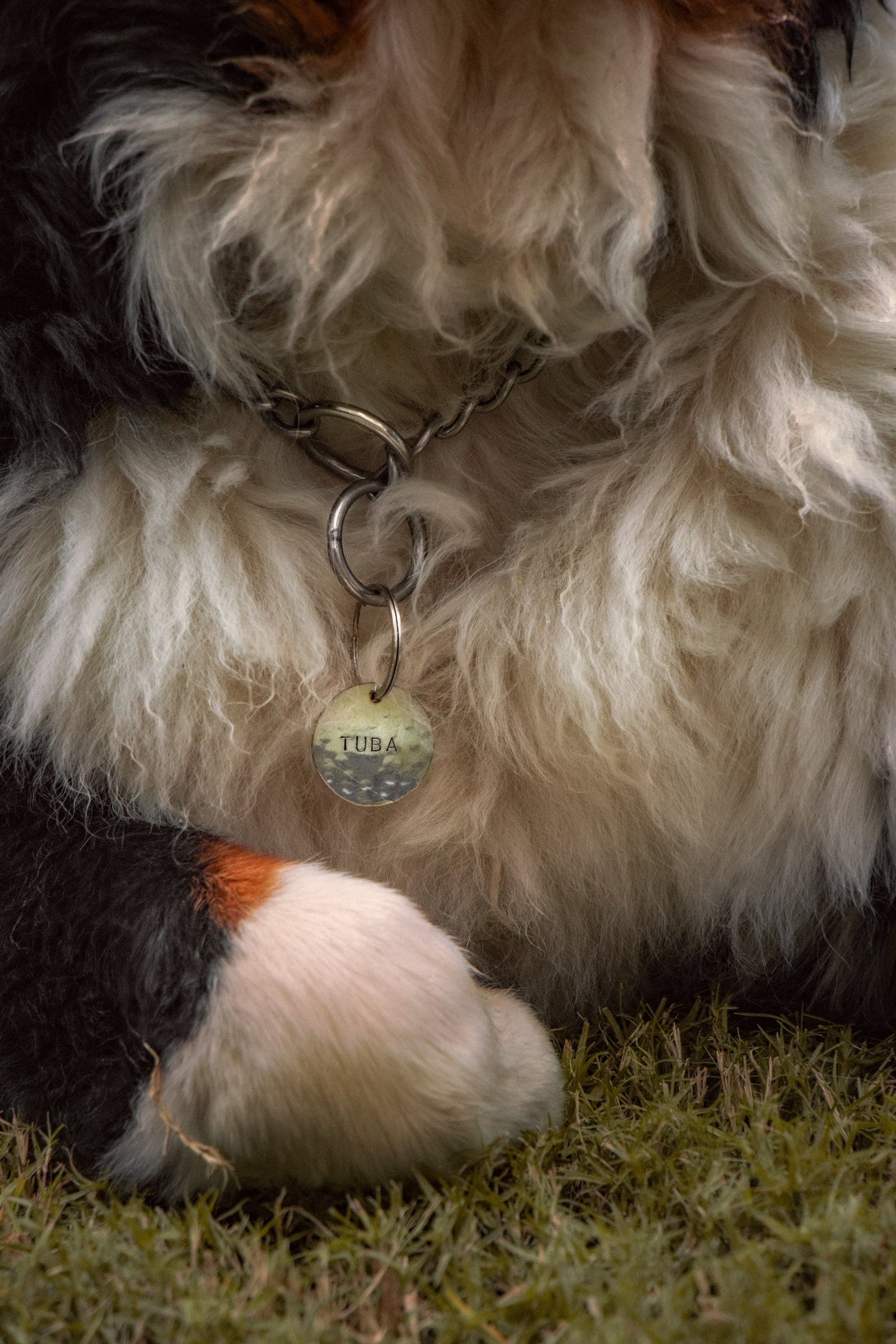 Stainless Steel Classic Tag  - Image 1