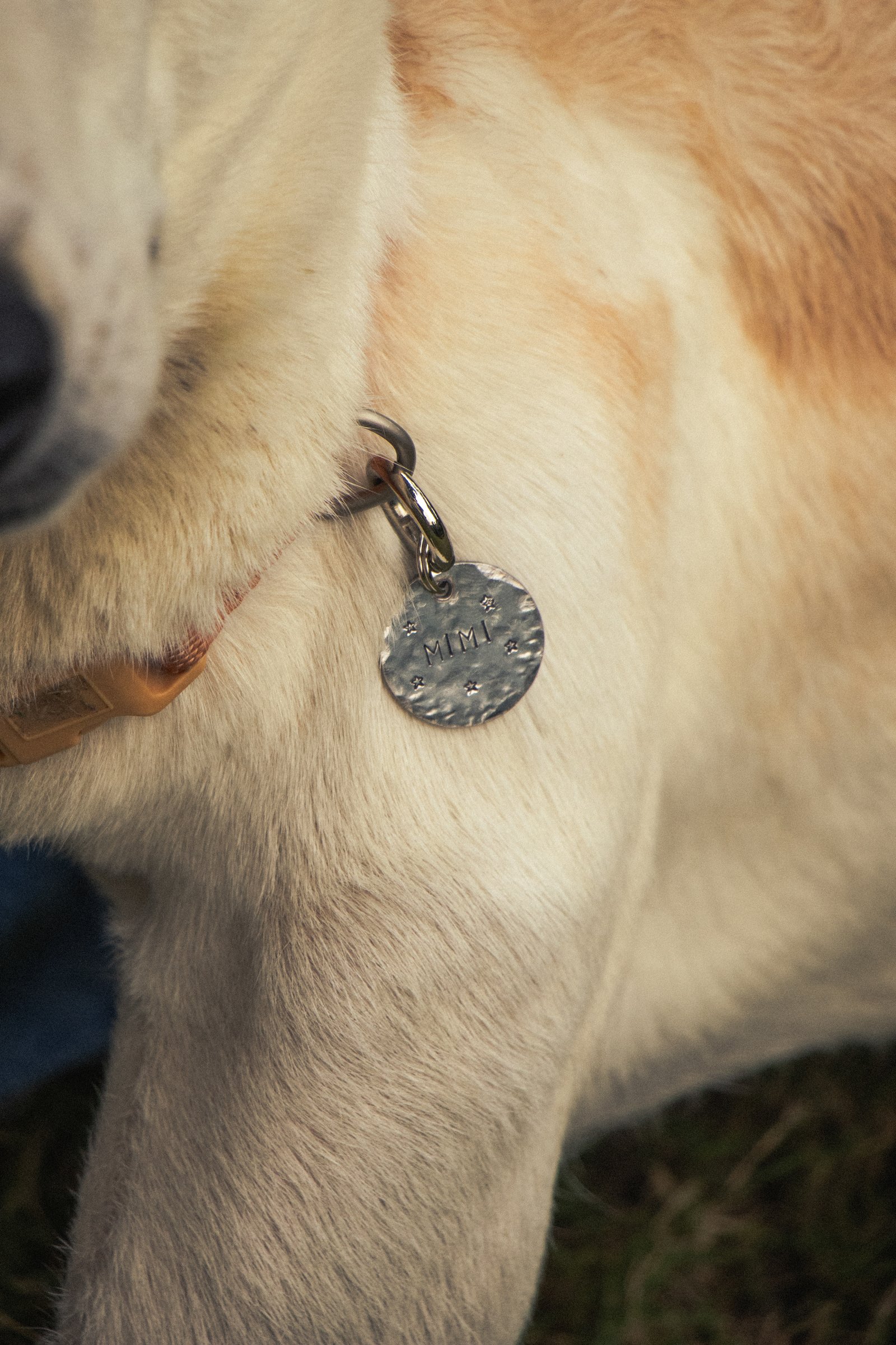 Starry Night Pet Tag - Image 4