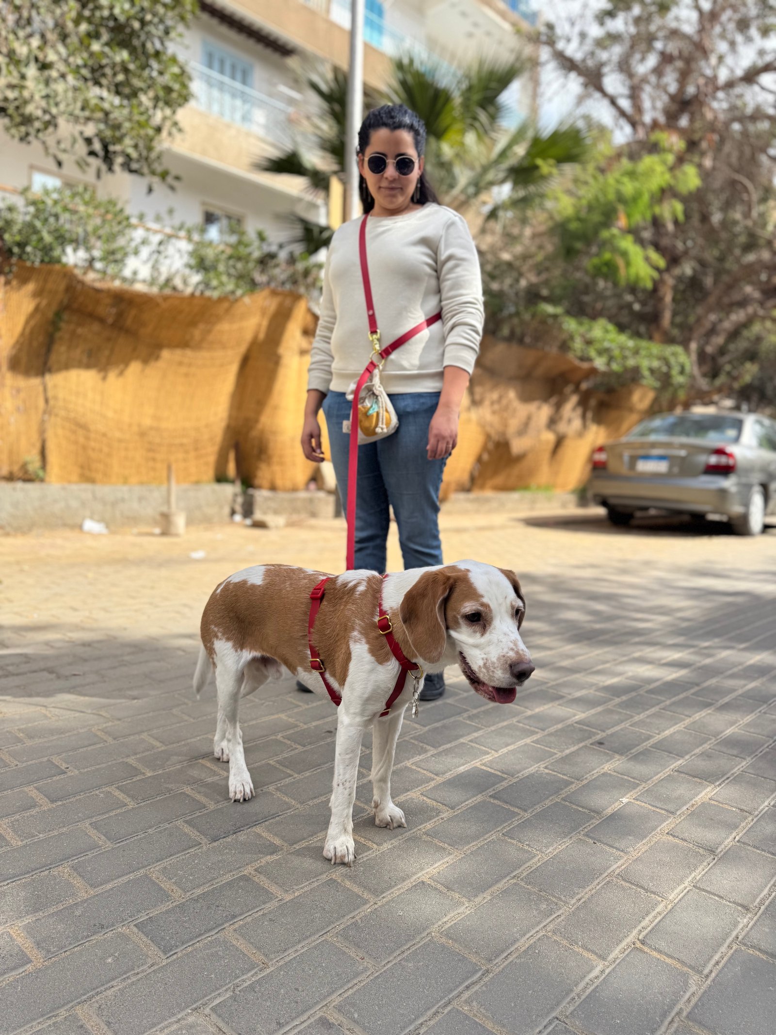 Essential Hands-free Leash - Image 3