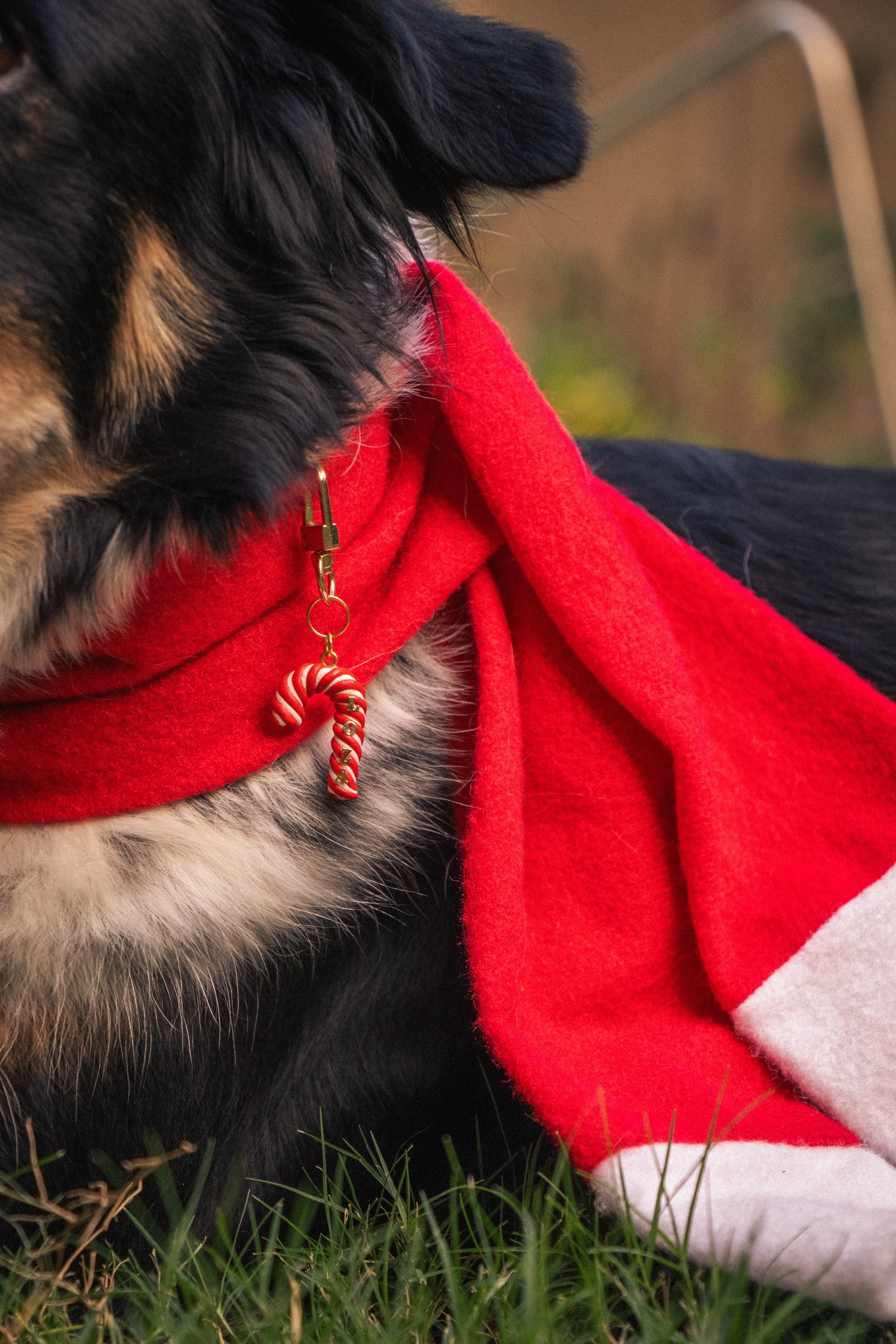 Candy Cane Collar Tag - Image 1