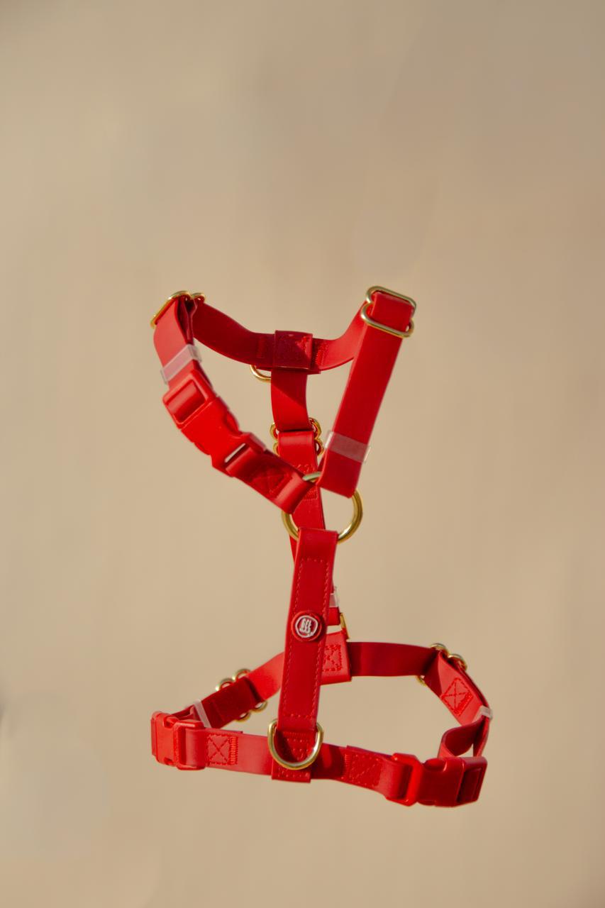 Essential Dog Harness - Image 6
