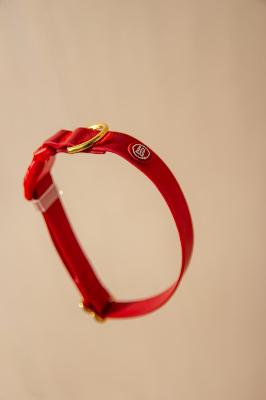 Essential Dog Collar - Image 5