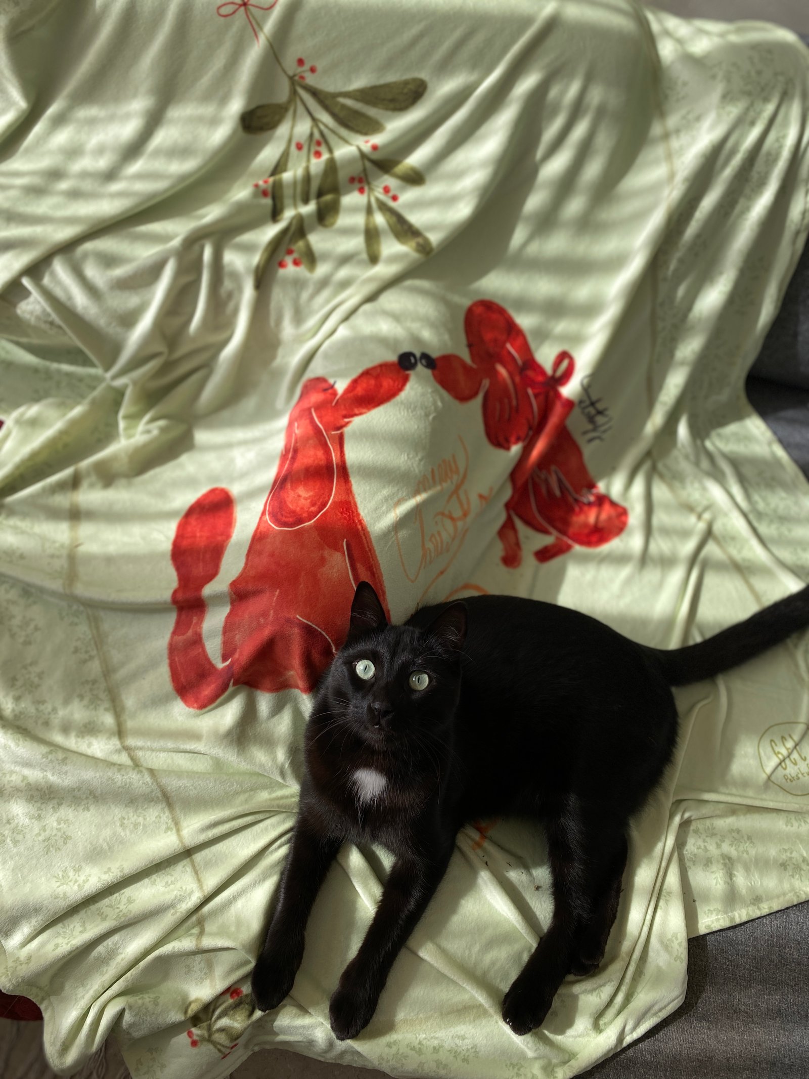 Cozy Christmas Blanket - Image 3
