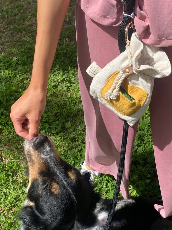 Treat & poo pouch - Image 1