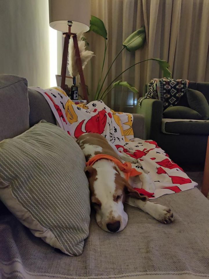 Cozy Blanket  - Image 8