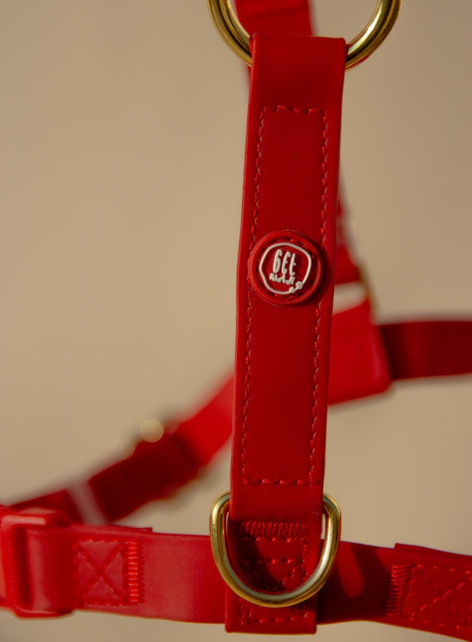 Essential Dog Harness - Image 4