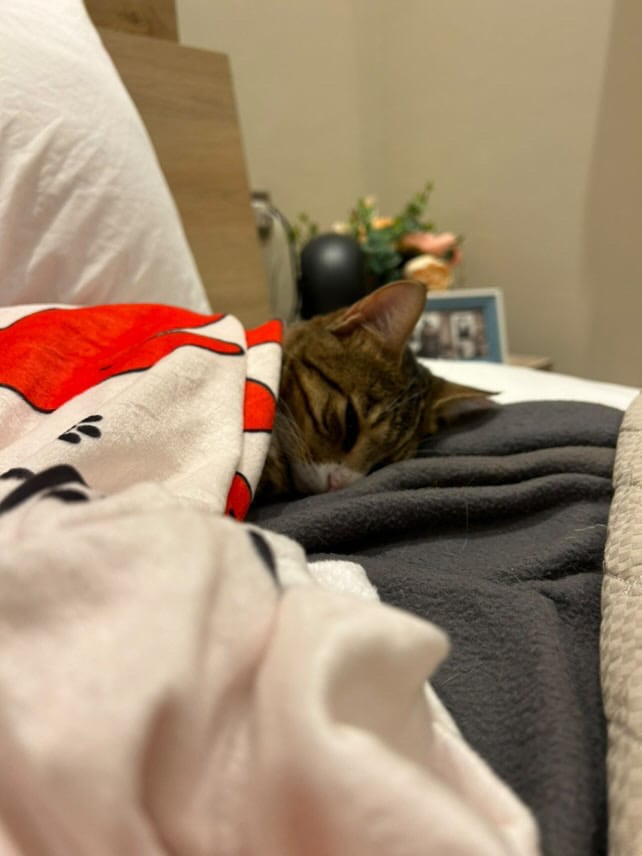 Cozy Blanket  - Image 9
