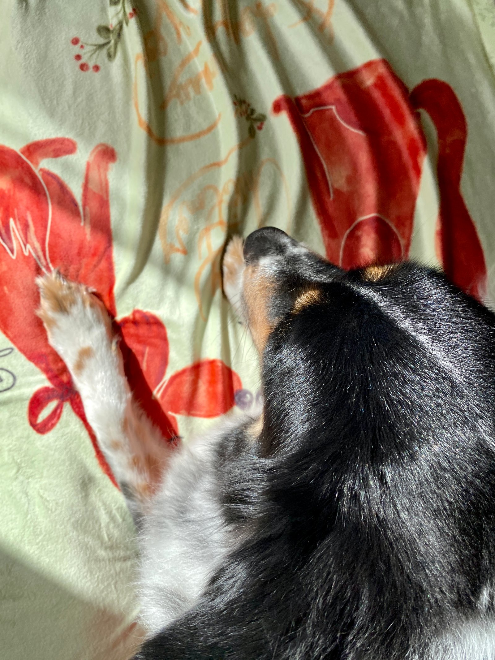 Cozy Christmas Blanket - Image 9