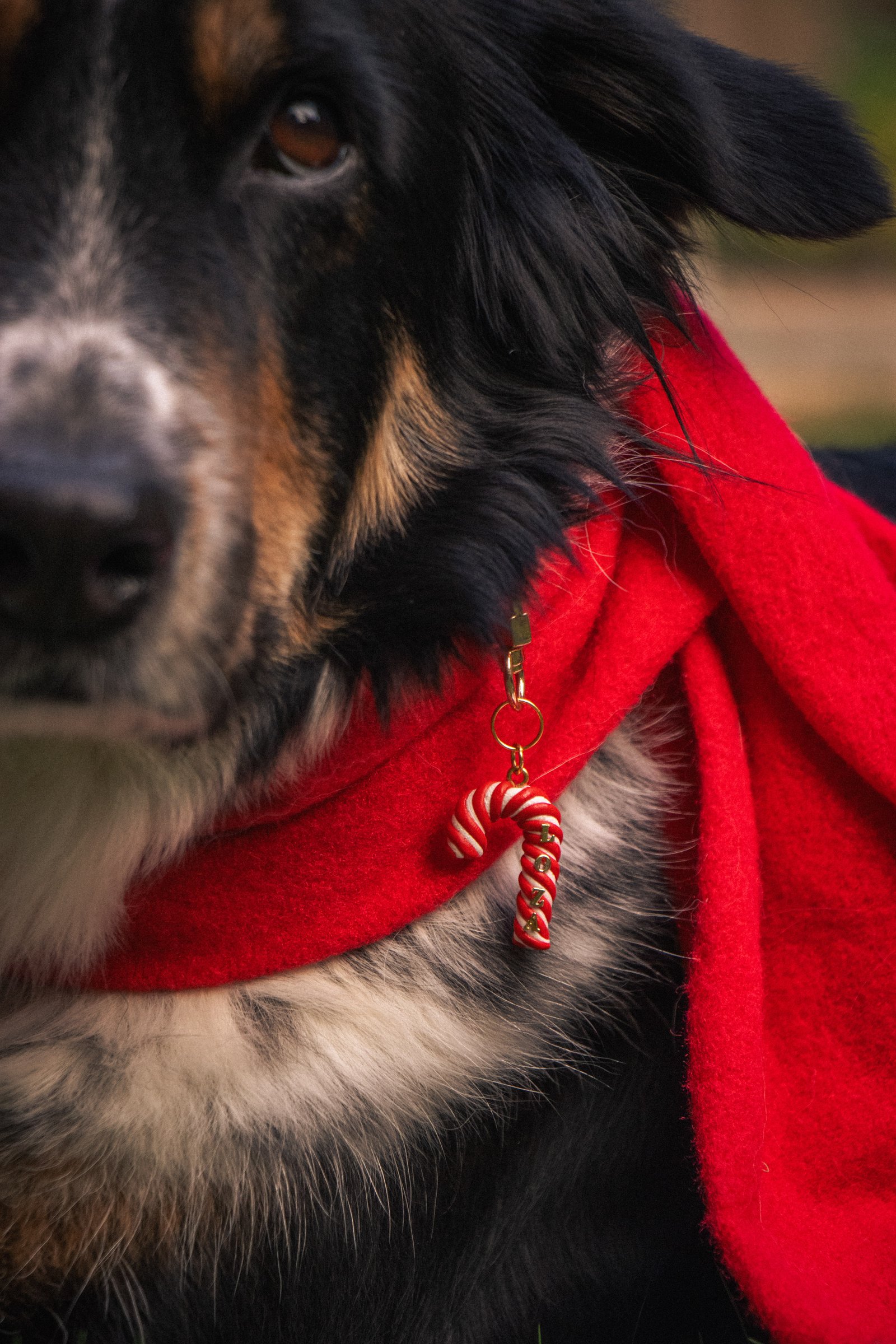 Candy Cane Collar Tag - Image 4