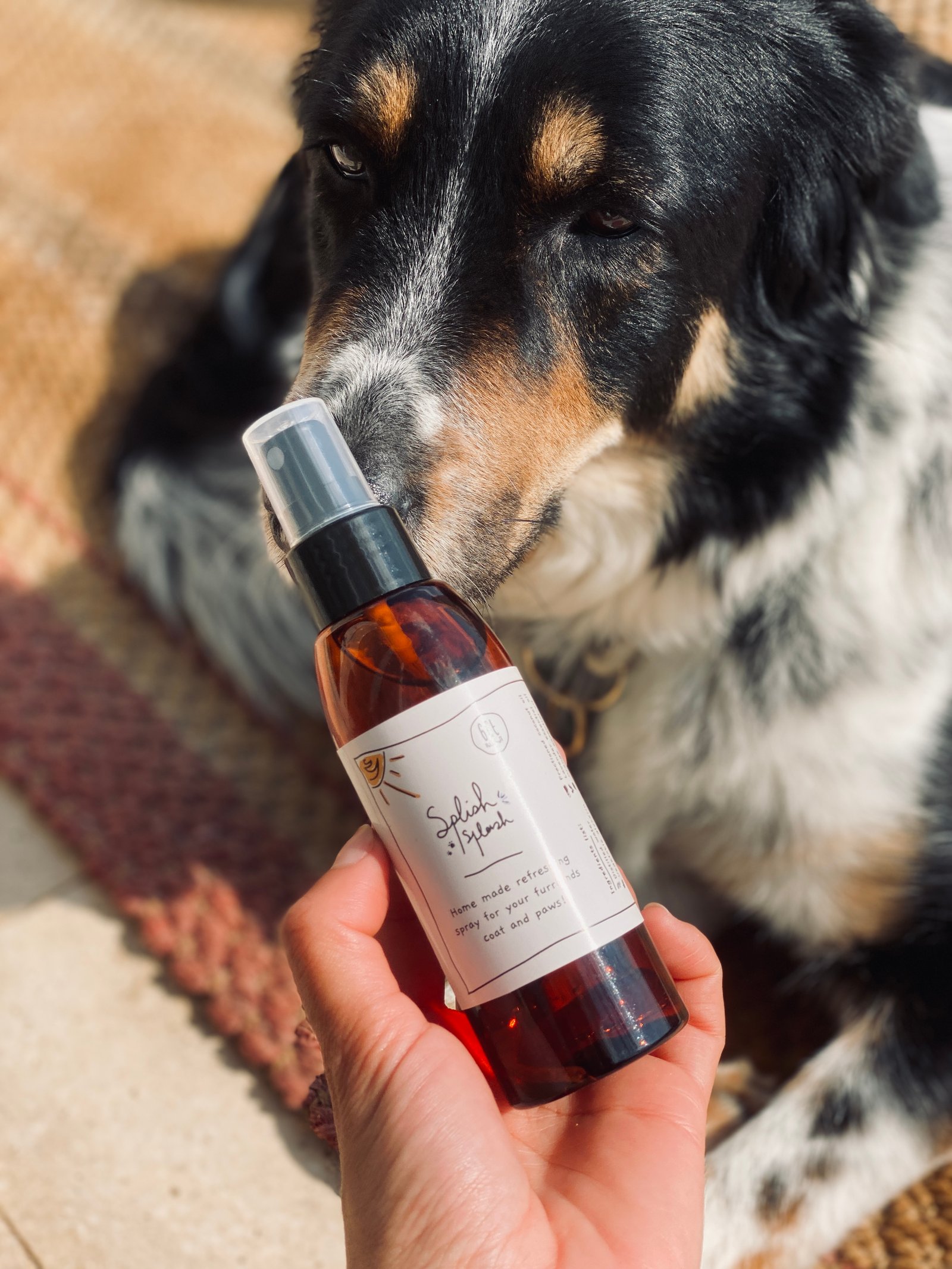 Coat & Paws refreshing spray  - Image 1