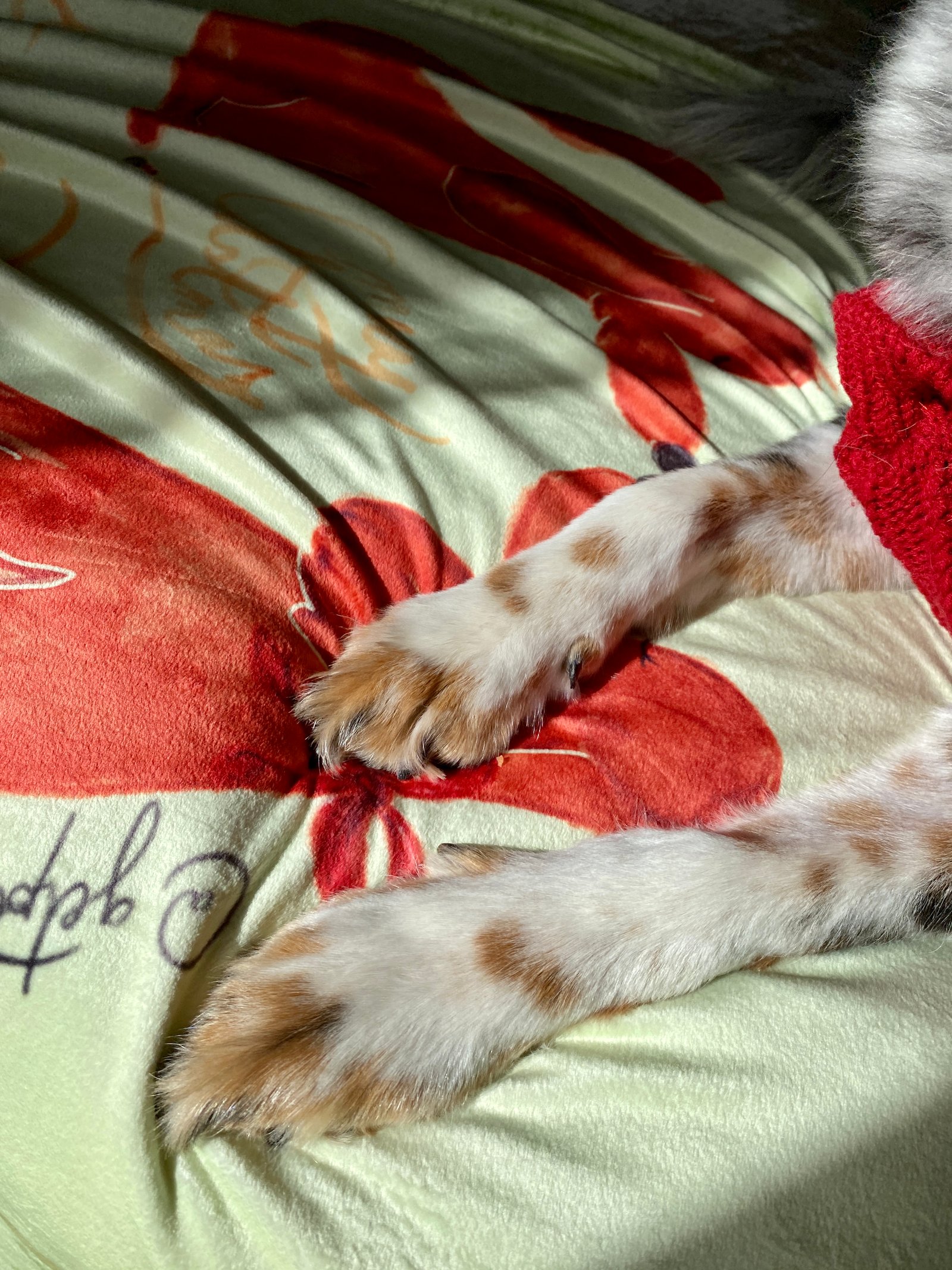 Cozy Christmas Blanket - Image 8