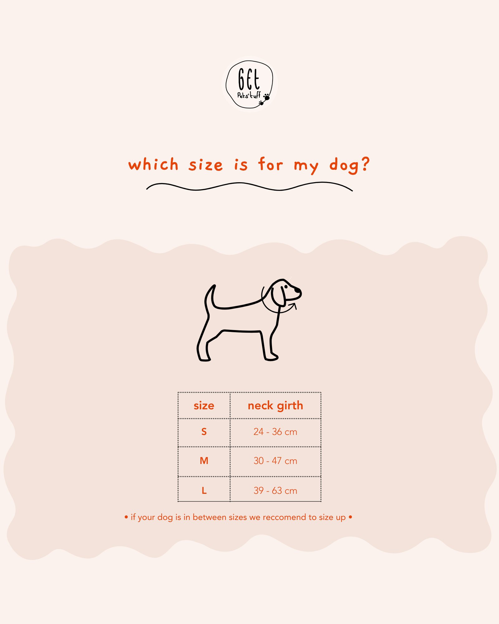 Essential Dog Collar - Image 2