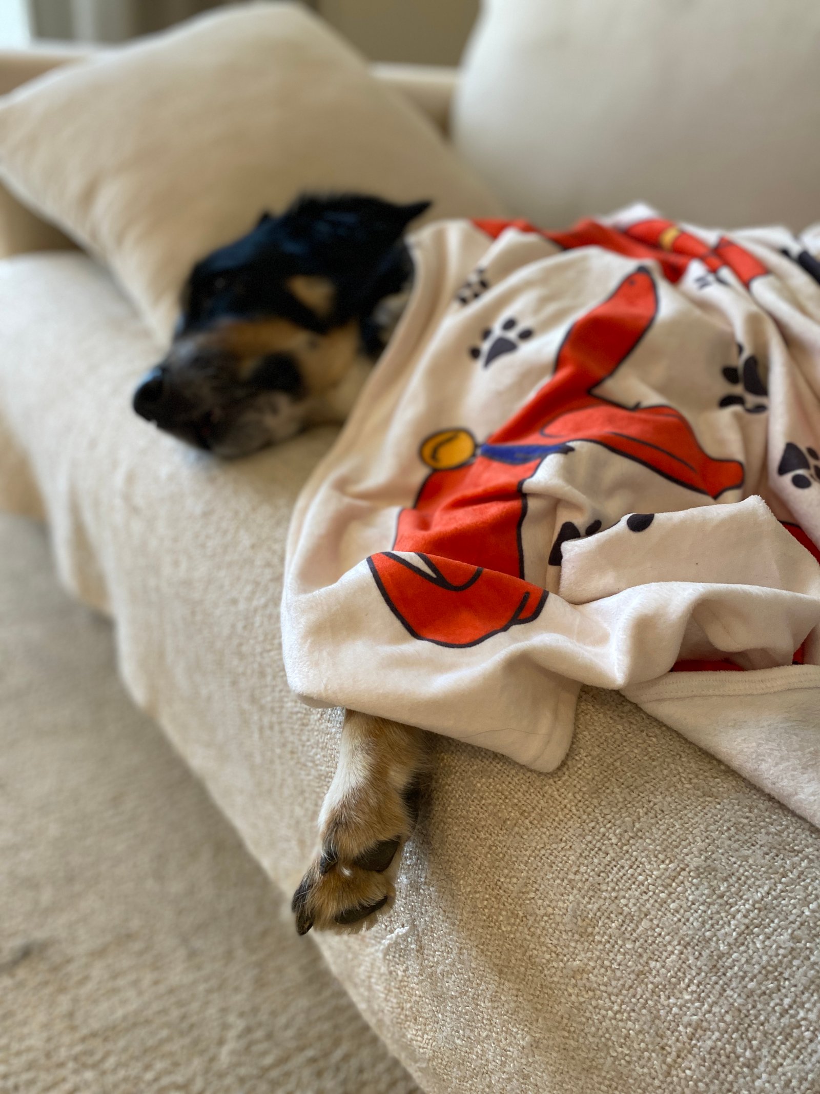 Cozy Blanket  - Image 2