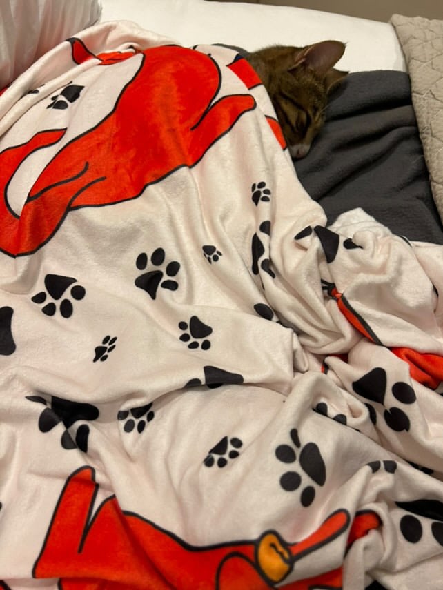 Cozy Blanket  - Image 5