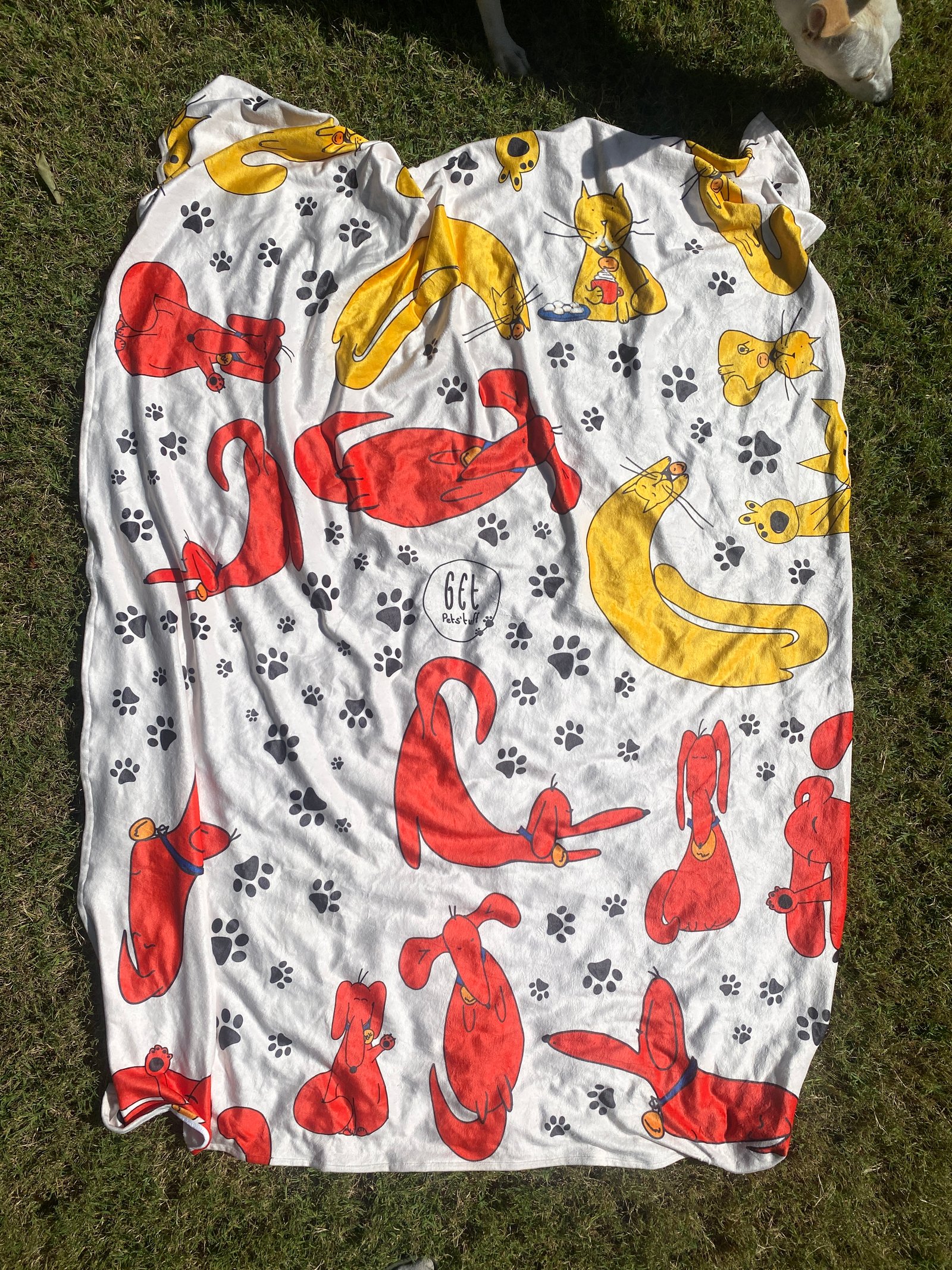 Cozy Blanket  - Image 4