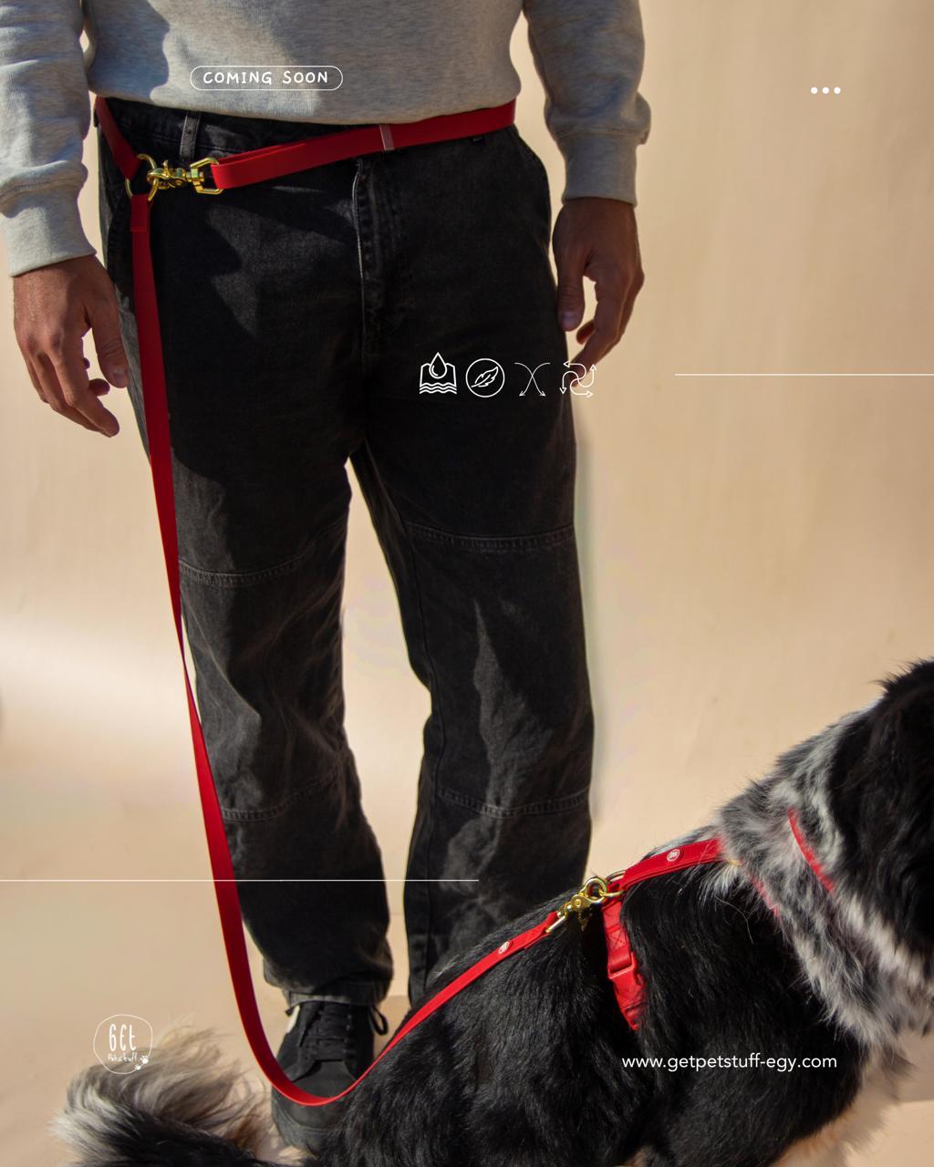Essential Hands-free Leash - Image 6