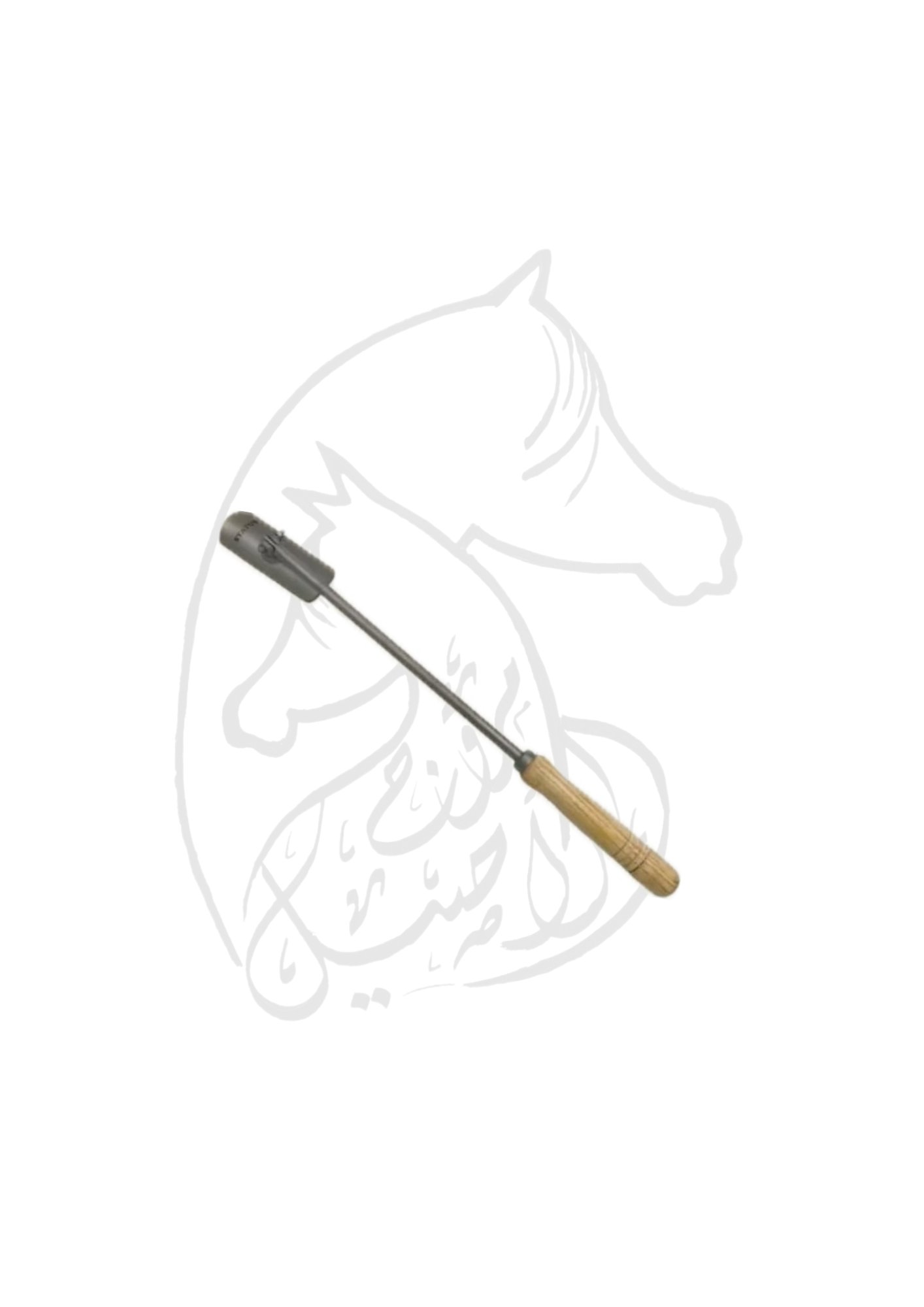 مبرد أسنان  - صورة 1