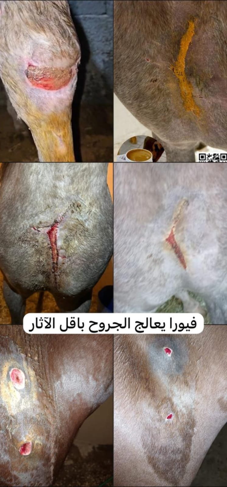 مرهم فيورا لترميم الجروح 200 غرام - صورة 4