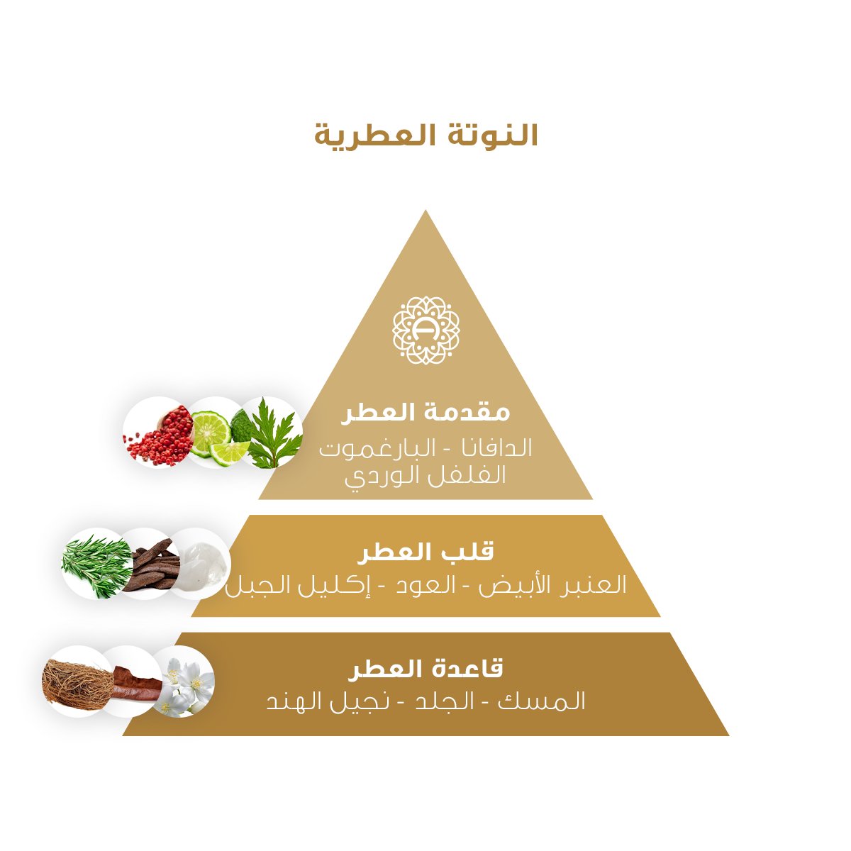 CLASSIC | كلاسيك - Image 2
