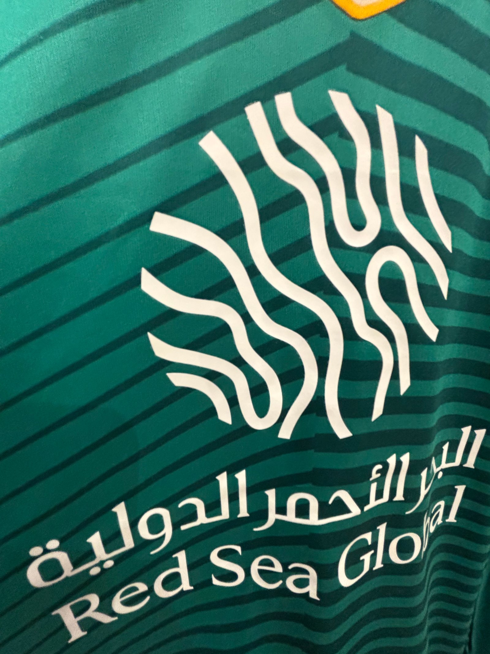 تيشيرت الاهلي الاخضر بشعار النخبة الذهبي  - صورة 7