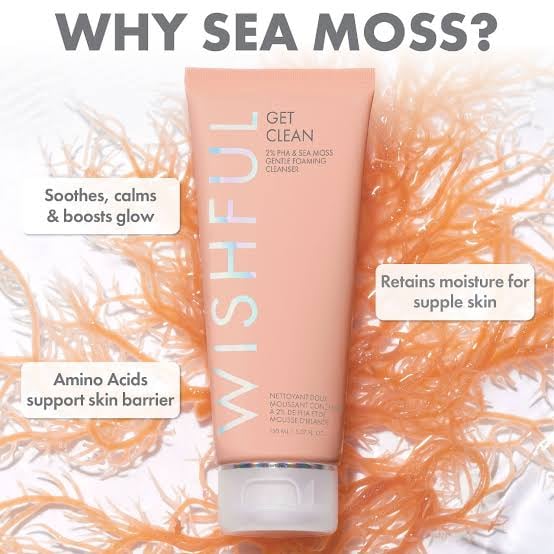 wish fullClean 2% PHA & Sea Moss Gentle Foaming Cleanser - صورة 6