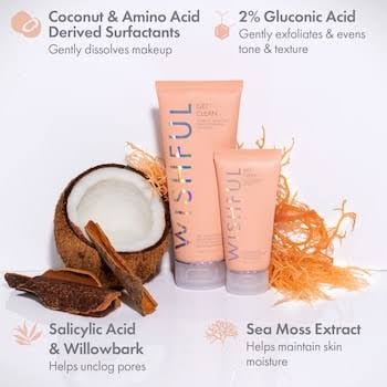 wish fullClean 2% PHA & Sea Moss Gentle Foaming Cleanser - صورة 2