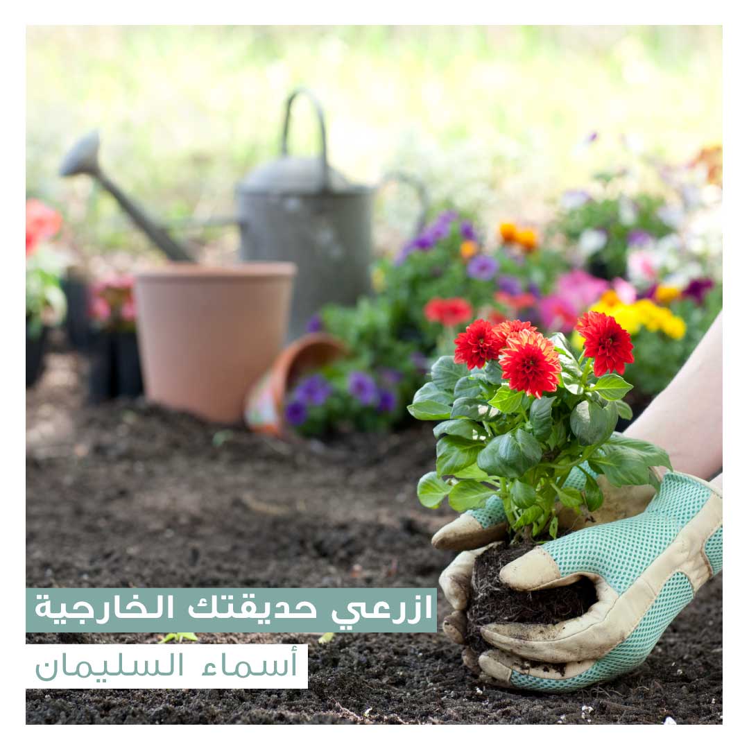 ازرعي حديقتك الخارجية - Image 1