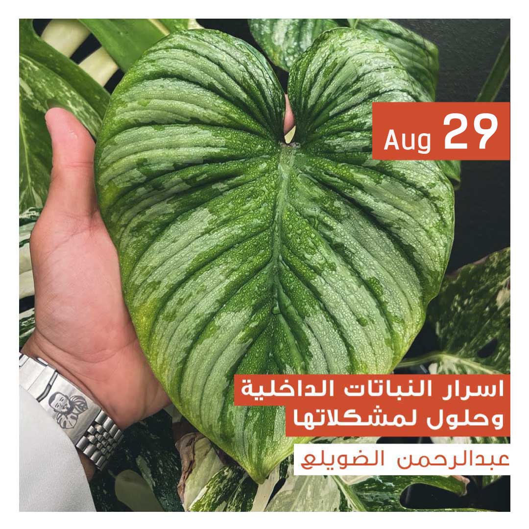 اسرار النباتات الداخلية وحلول لمشكلاتها - Image 1