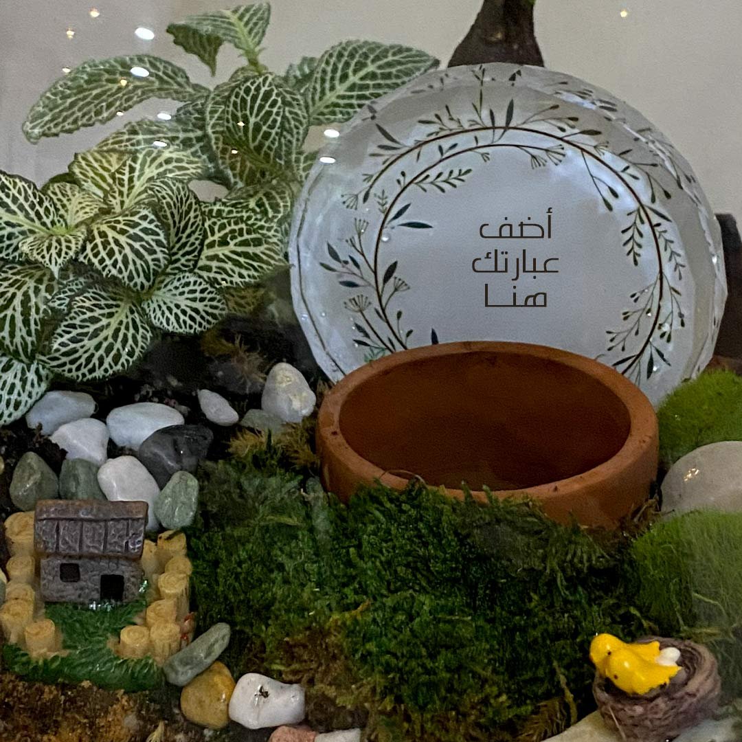 terrarium gift - Image 3