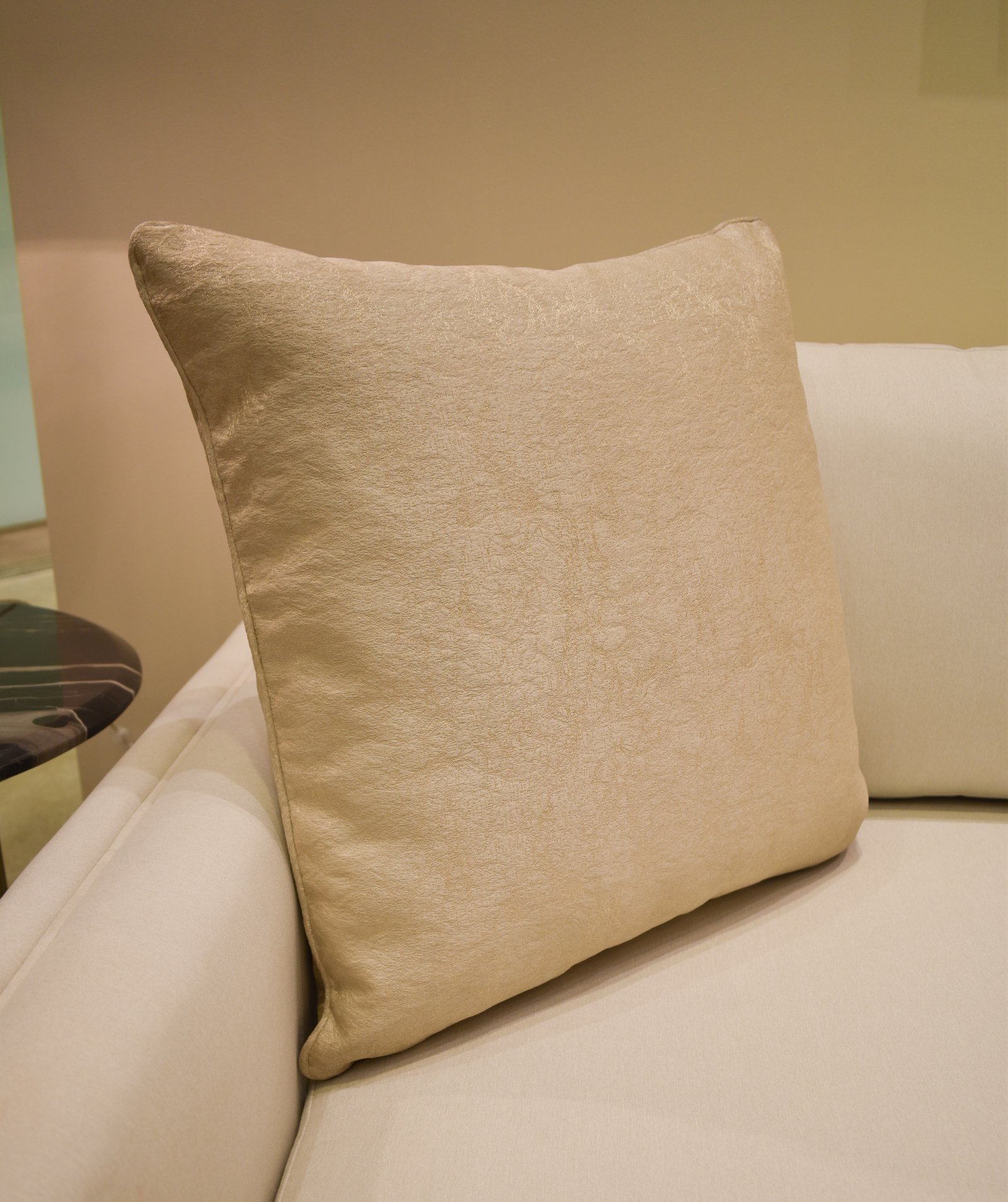 CUSHION - Image 1