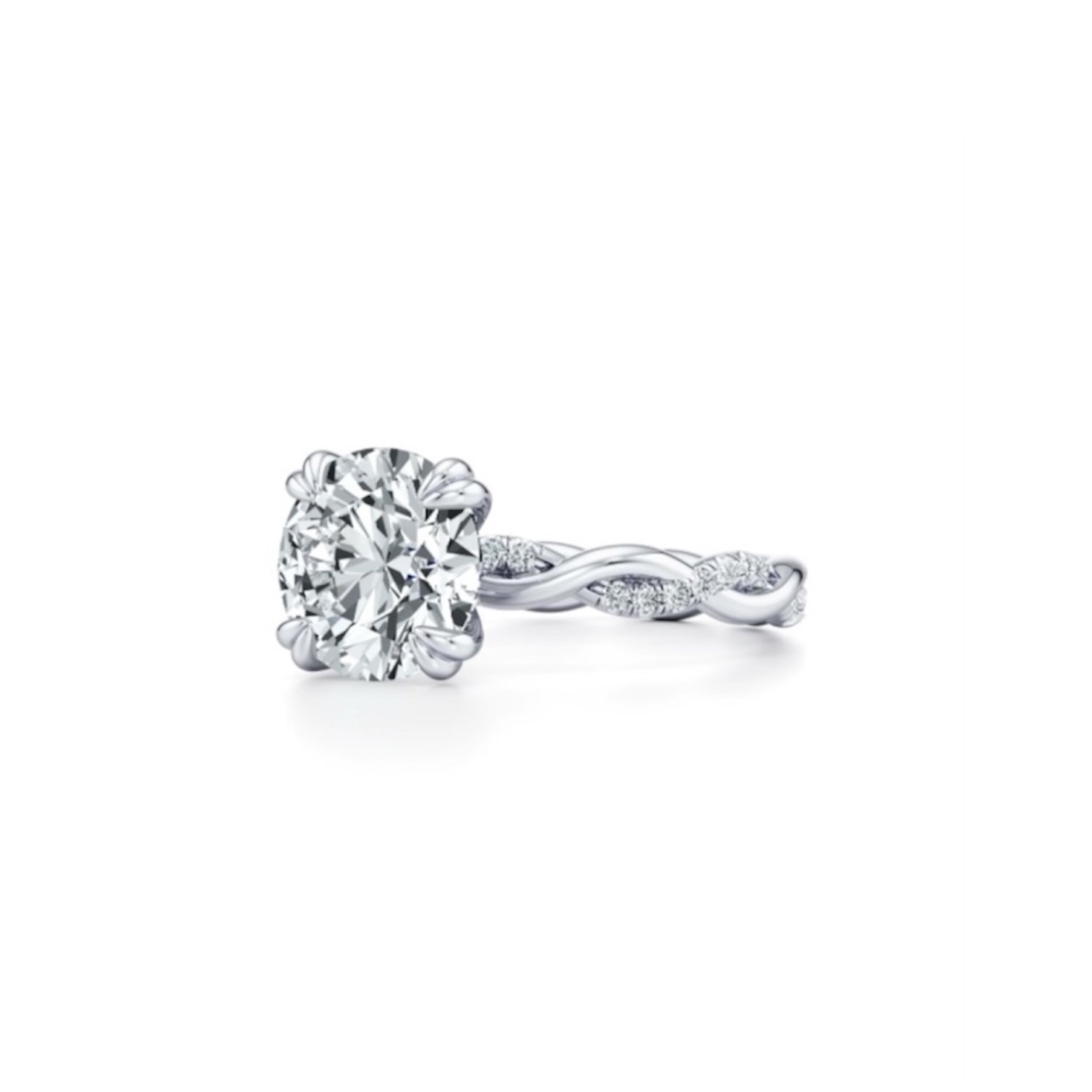 The Infinite Twist Ring - صورة 2
