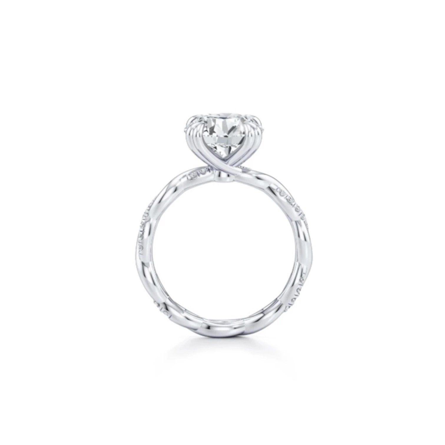 The Infinite Twist Ring - صورة 3