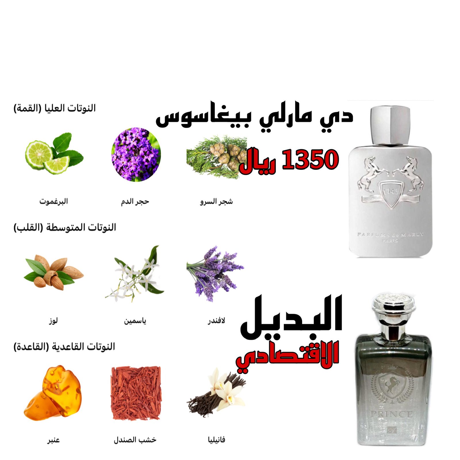 برنس بلاك - صورة 2