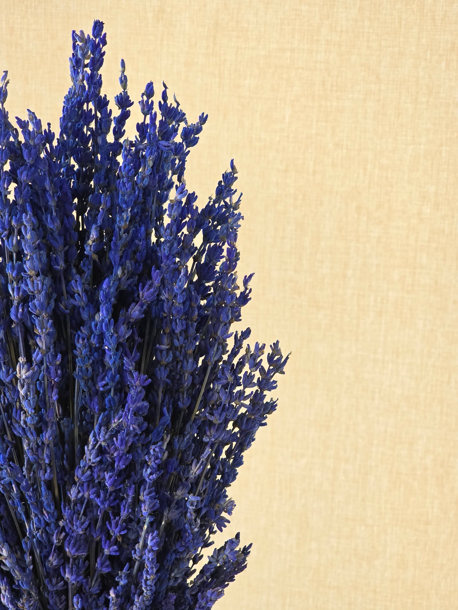 Violet Calm - Image 3