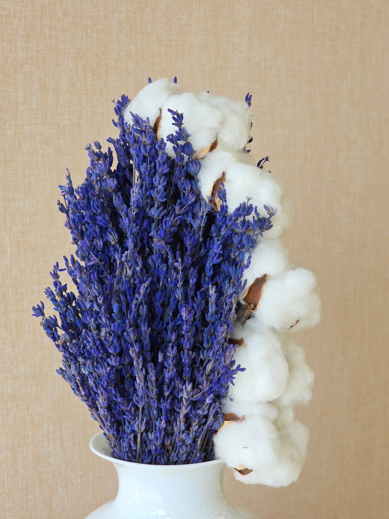 Provence Winter - Image 2