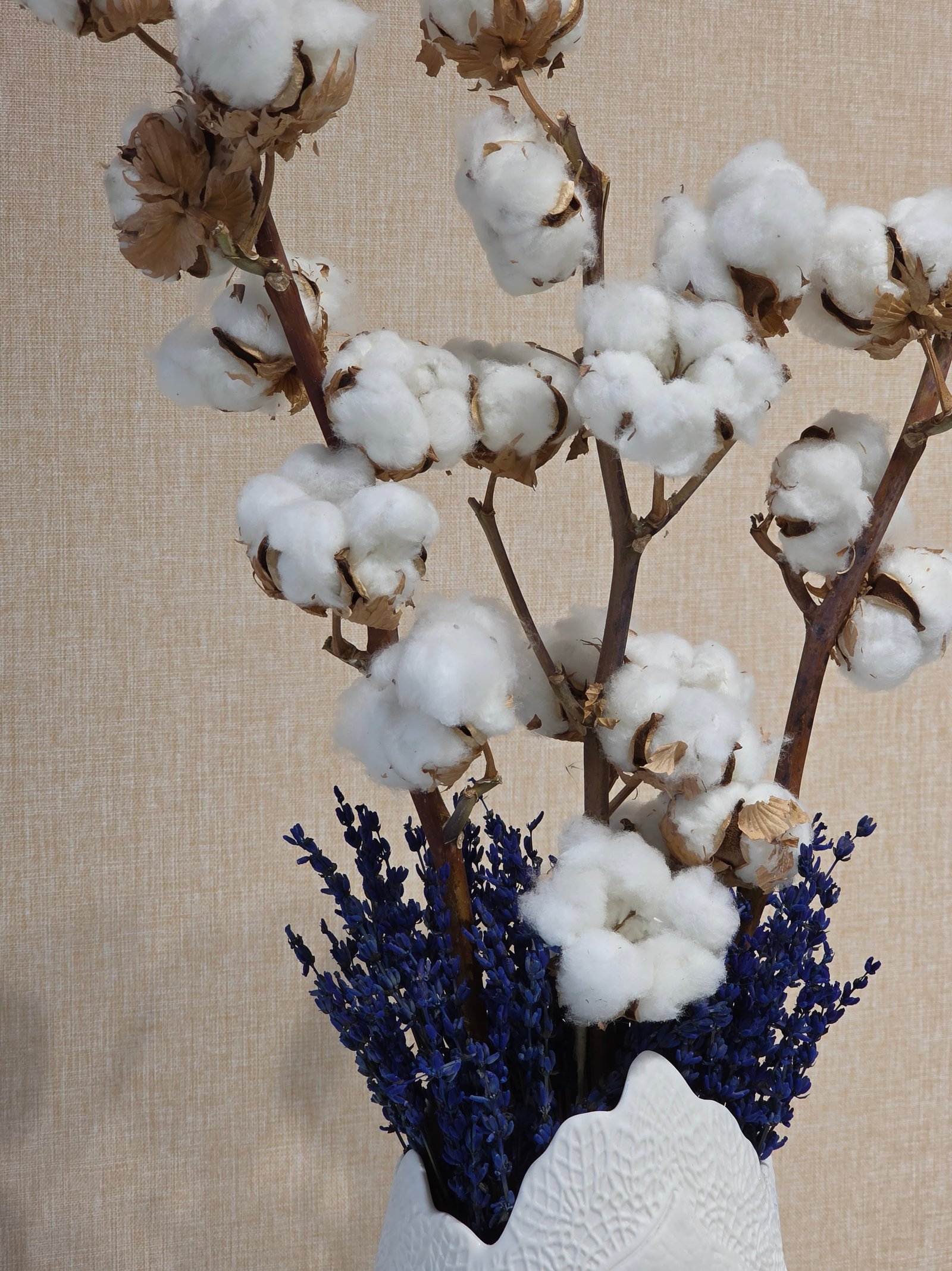 Cotton Serenity - Image 3