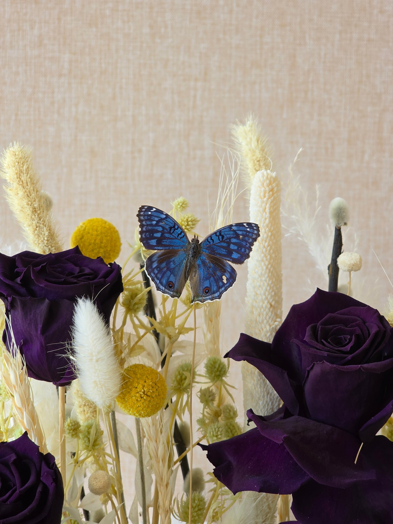 Amethyst Butterfly - Image 6