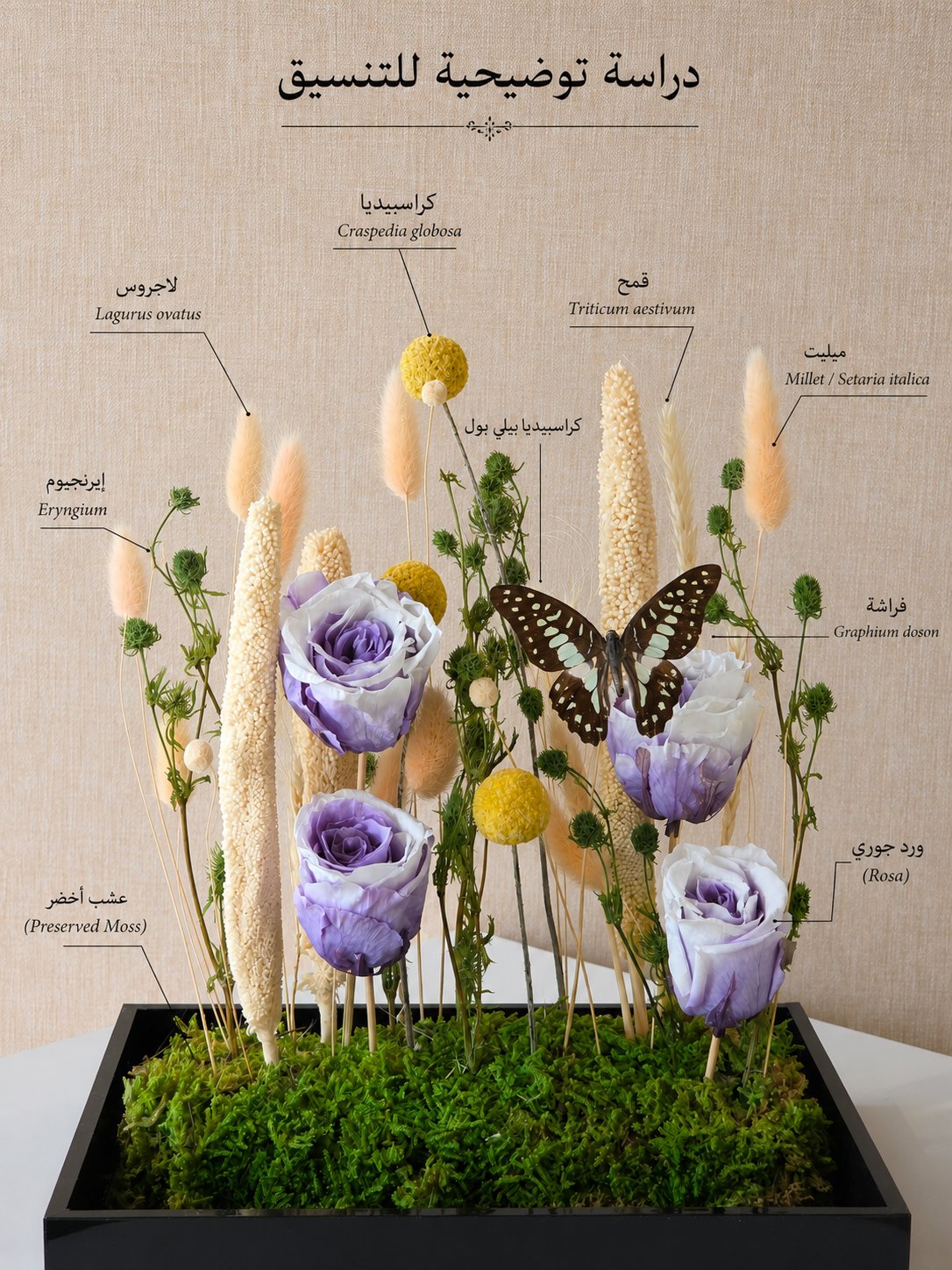 Purple Butterfly Garden - Image 4